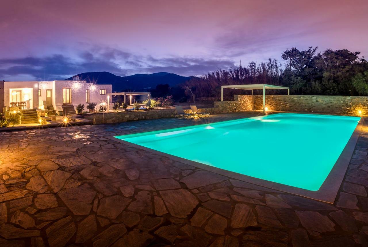 Kallirroe Deluxe Villa With Sea View And Pool Chrisi Akti  Buitenkant foto